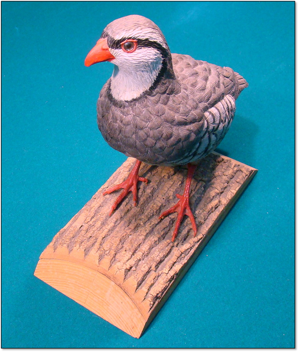 A bird sitting on a table

Description automatically generated