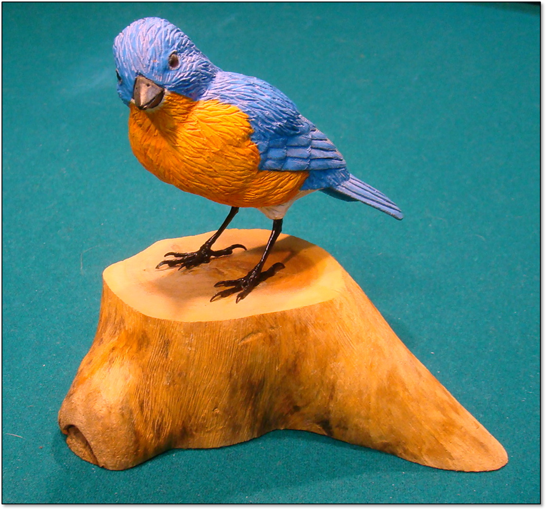 A small blue bird perched on top of a parrot

Description automatically generated