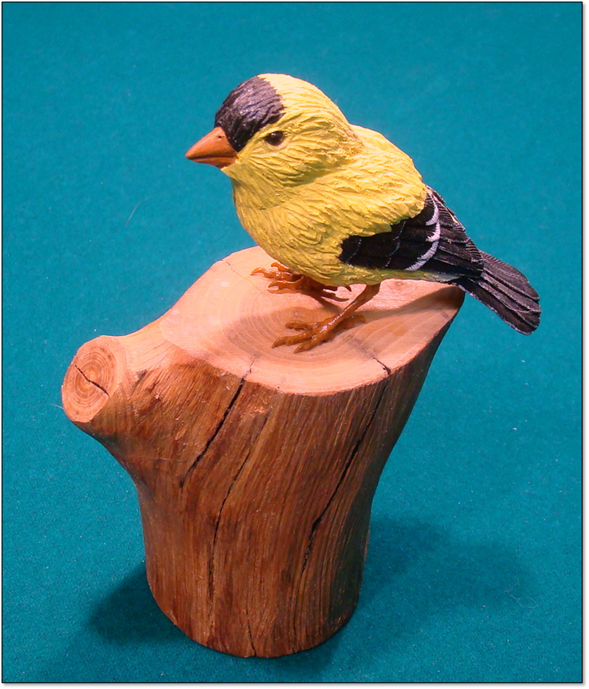 A bird sitting on a table

Description automatically generated