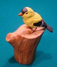 A bird sitting on a table

Description automatically generated