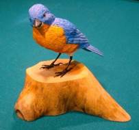 A small blue bird perched on top of a parrot

Description automatically generated