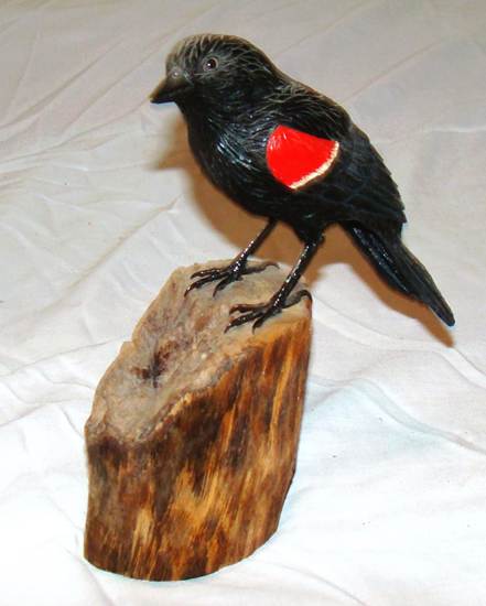 A black bird on a piece of wood

AI-generated content may be incorrect.
