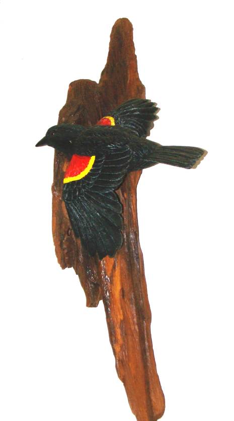 A black bird on a piece of wood

AI-generated content may be incorrect.