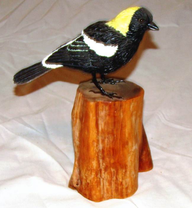 A bird on a stump

AI-generated content may be incorrect.