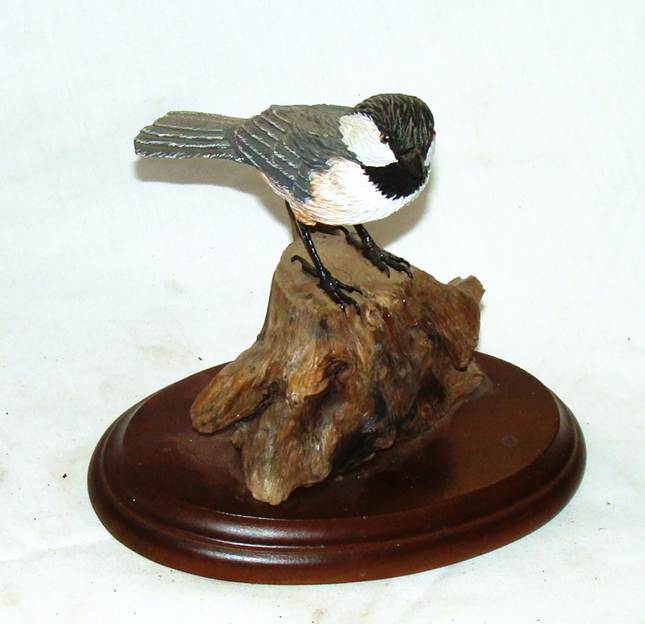 A bird on a piece of wood

AI-generated content may be incorrect.