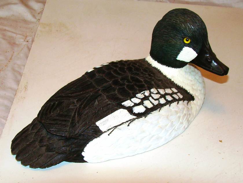 A black and white duck

AI-generated content may be incorrect.