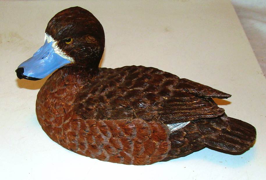 A close-up of a duck

AI-generated content may be incorrect.