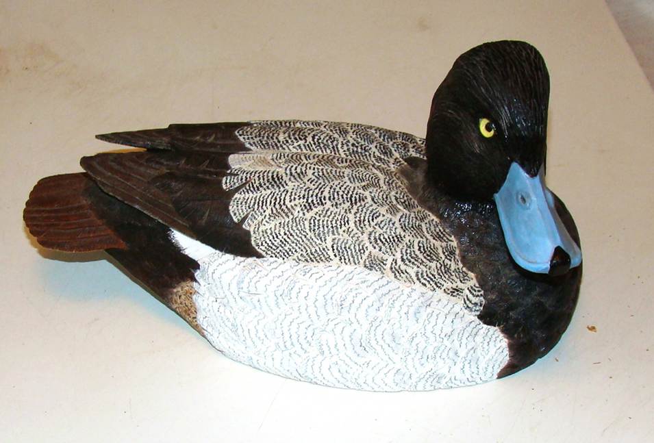 A close-up of a duck

AI-generated content may be incorrect.