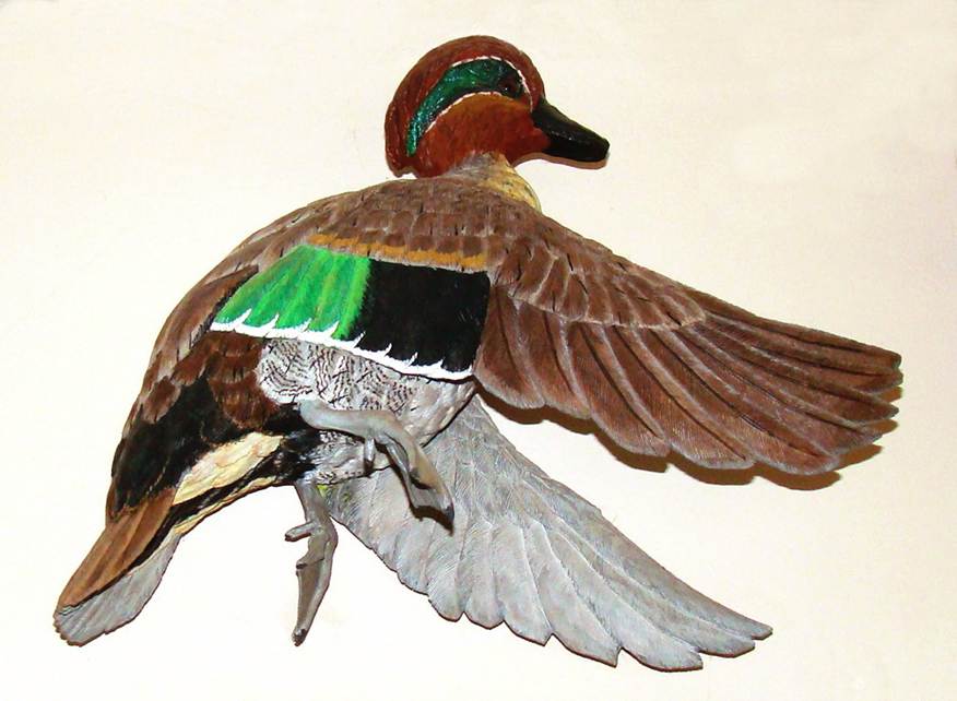 A bird with wings spread

AI-generated content may be incorrect.