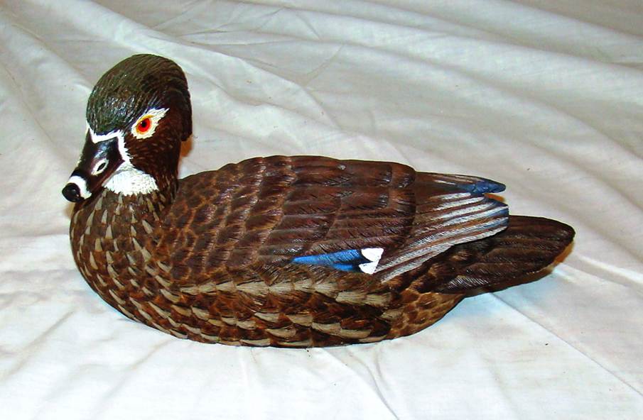 A close-up of a duck

AI-generated content may be incorrect.