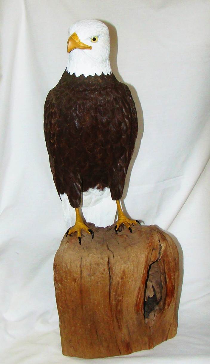 A bird standing on a piece of wood

AI-generated content may be incorrect.