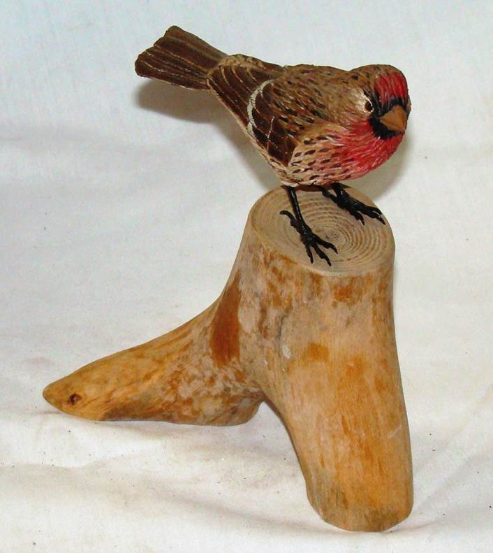 A bird on a piece of wood

AI-generated content may be incorrect.