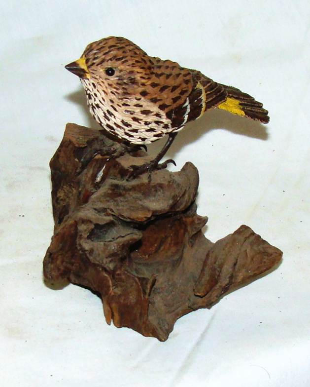 A bird on a piece of wood

AI-generated content may be incorrect.