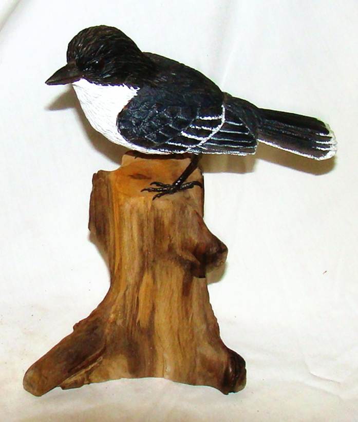 A bird on a piece of wood

AI-generated content may be incorrect.