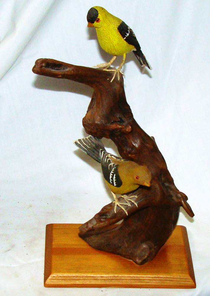 A bird on a piece of wood

AI-generated content may be incorrect.