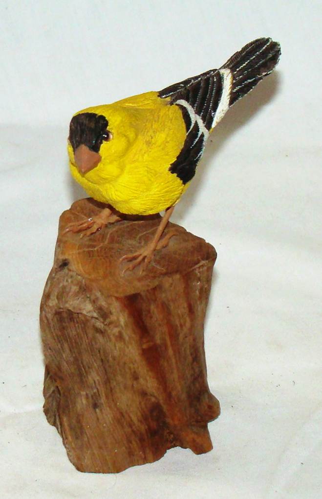 A yellow bird standing on a piece of wood

AI-generated content may be incorrect.
