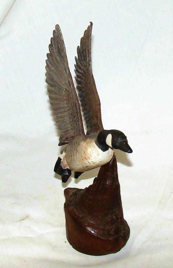 A wood duck with wings spread

AI-generated content may be incorrect.