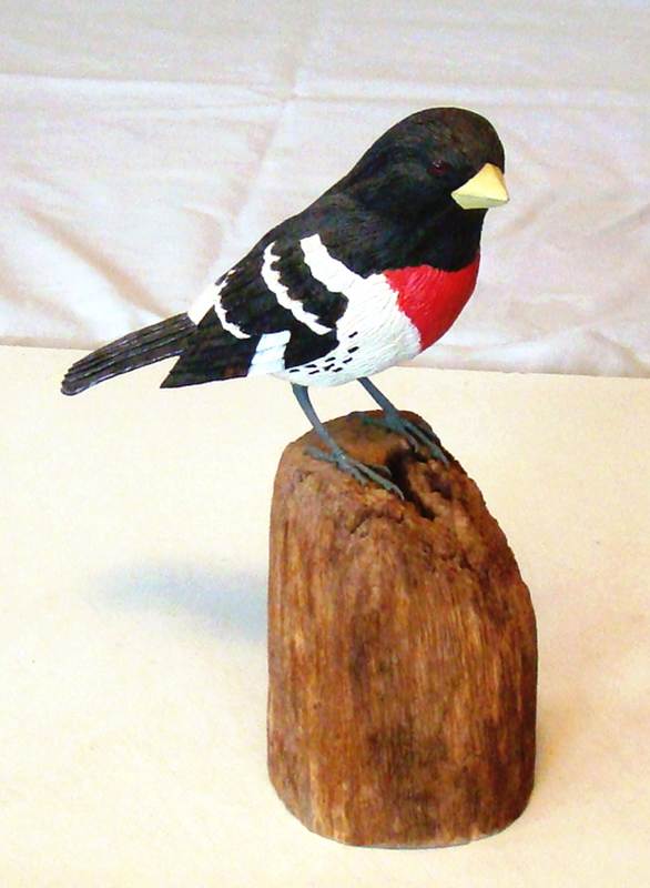 A bird on a piece of wood

AI-generated content may be incorrect.