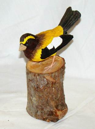 A bird on a log

AI-generated content may be incorrect.