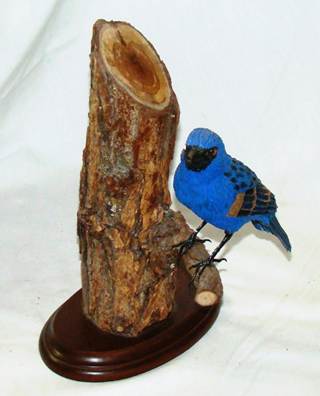 A blue bird standing on a log

AI-generated content may be incorrect.