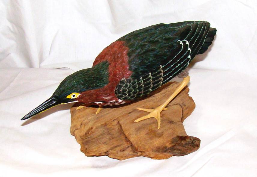 A bird on a piece of wood

AI-generated content may be incorrect.