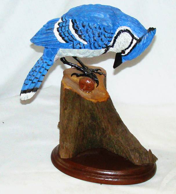 A blue bird on a piece of wood

AI-generated content may be incorrect.