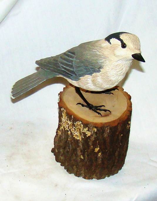 A bird on a log

AI-generated content may be incorrect.