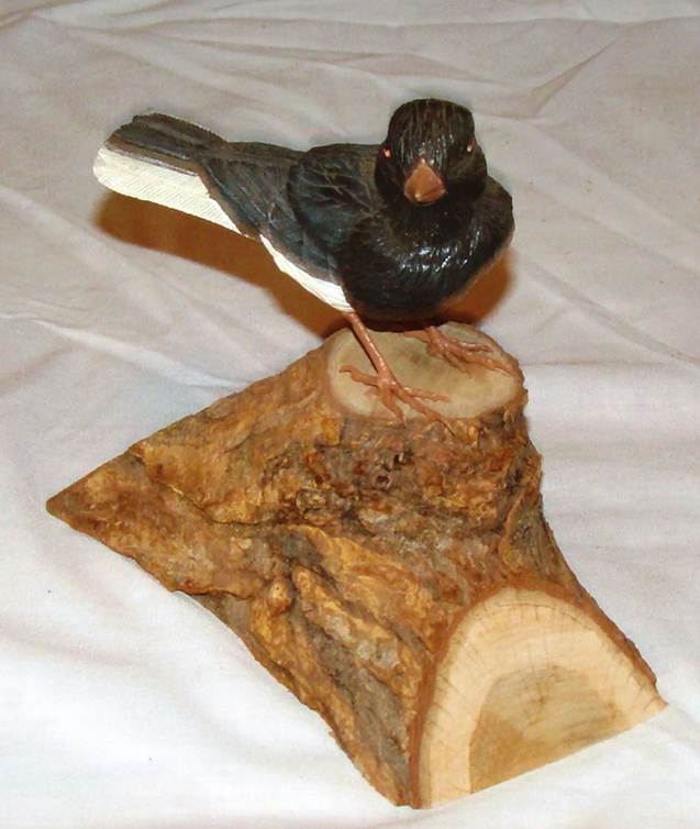 A bird on a piece of wood

AI-generated content may be incorrect.
