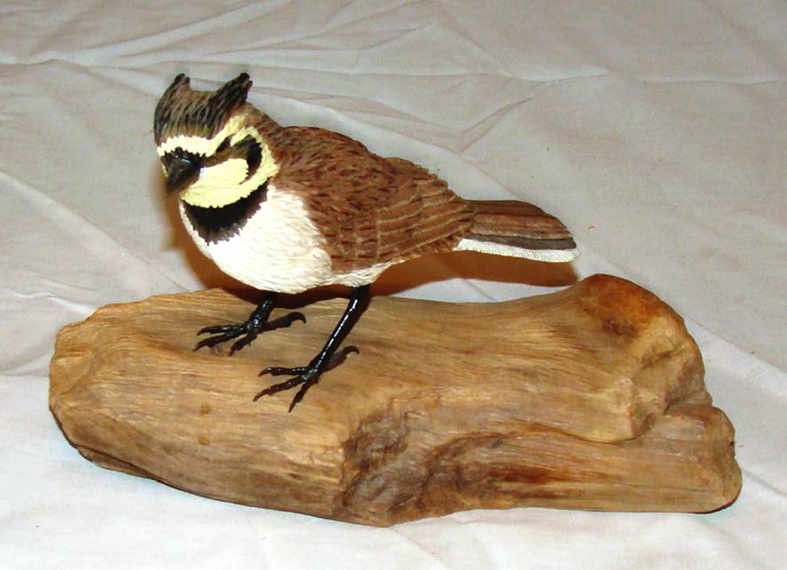 A bird on a piece of wood

AI-generated content may be incorrect.