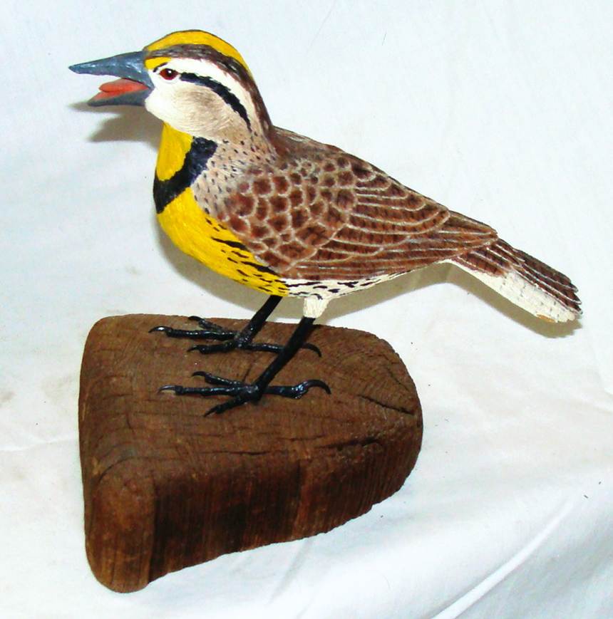 A bird on a piece of wood

AI-generated content may be incorrect.