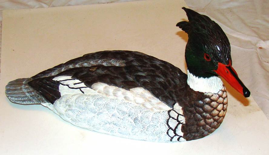 A close-up of a duck

AI-generated content may be incorrect.