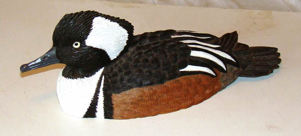 A close-up of a duck

AI-generated content may be incorrect.