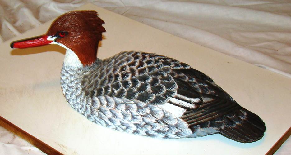 A bird on a white surface

AI-generated content may be incorrect.