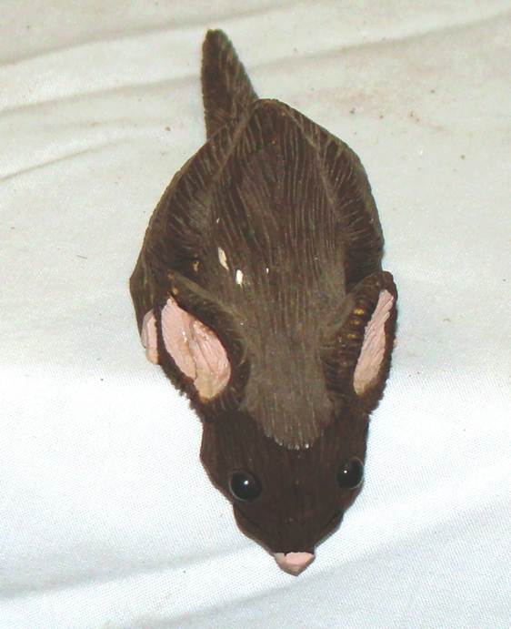 A close-up of a toy mouse

AI-generated content may be incorrect.