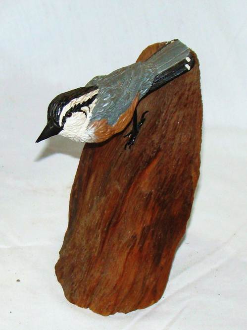 A bird on a piece of wood

AI-generated content may be incorrect.