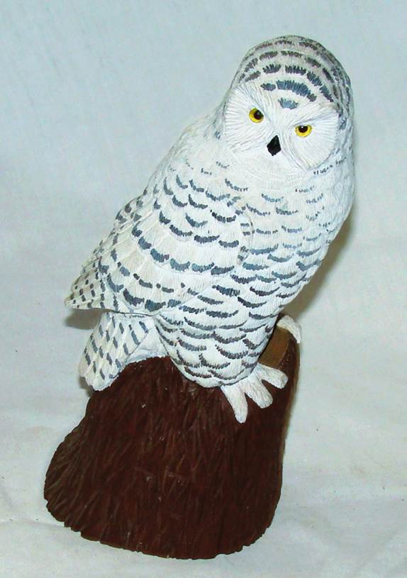A white owl on a brown stump

AI-generated content may be incorrect.