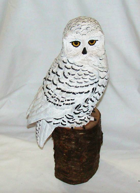 A white owl on a stump

AI-generated content may be incorrect.