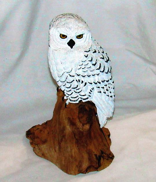 A white owl on a piece of wood

AI-generated content may be incorrect.