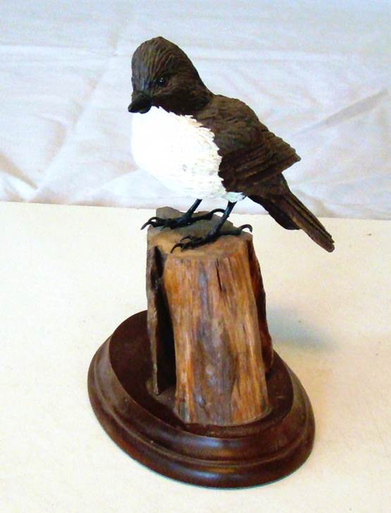 A bird on a stump

AI-generated content may be incorrect.