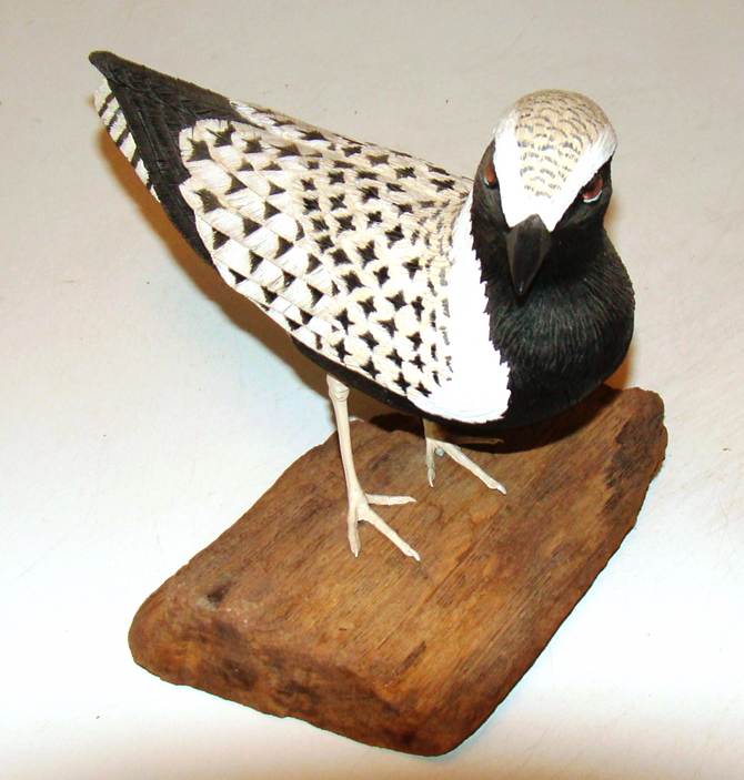 A black and white bird on a piece of wood

AI-generated content may be incorrect.