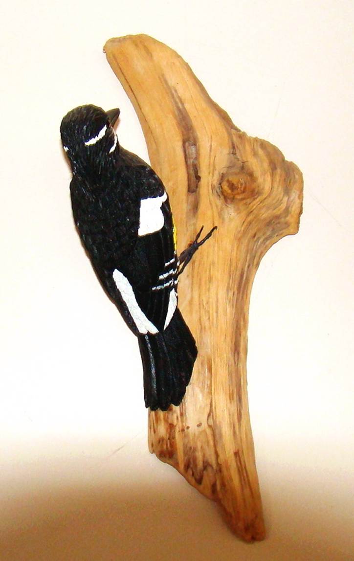 A black and white bird on a piece of wood

AI-generated content may be incorrect.