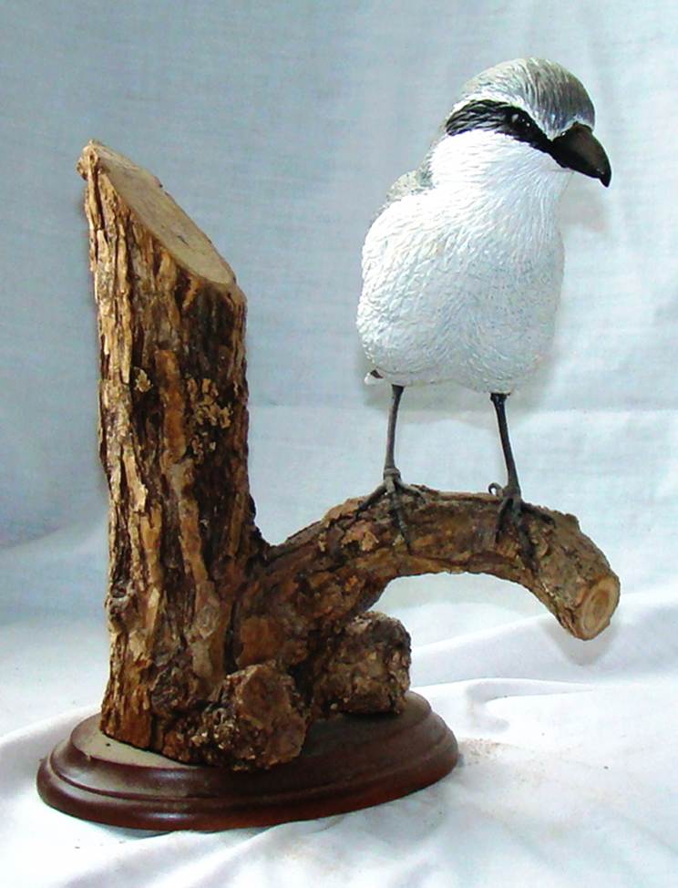 A bird on a branch

AI-generated content may be incorrect.