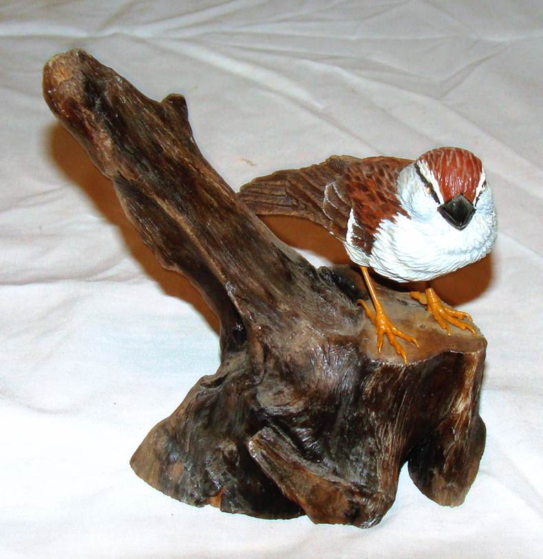 A bird on a piece of wood

AI-generated content may be incorrect.