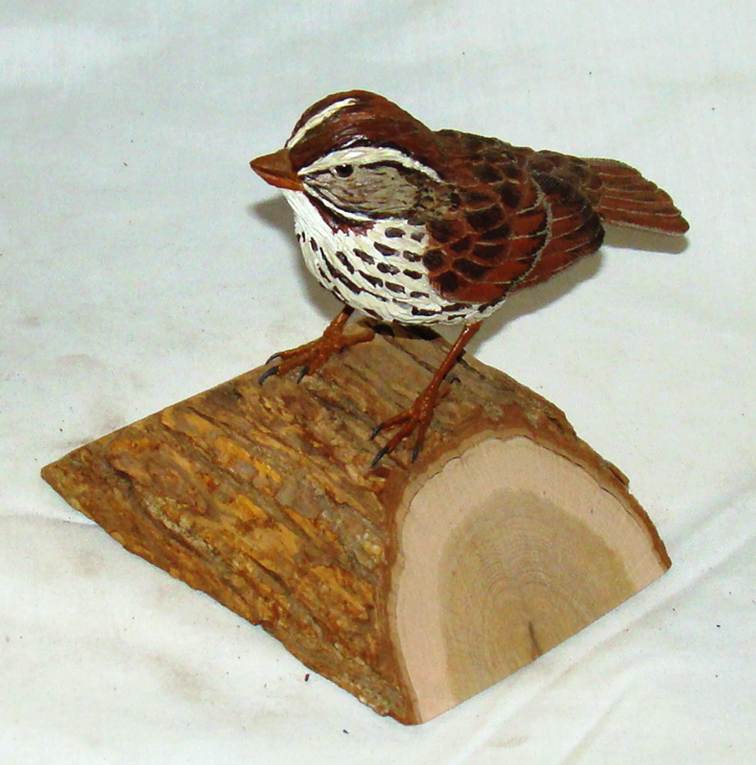 A bird on a piece of wood

AI-generated content may be incorrect.