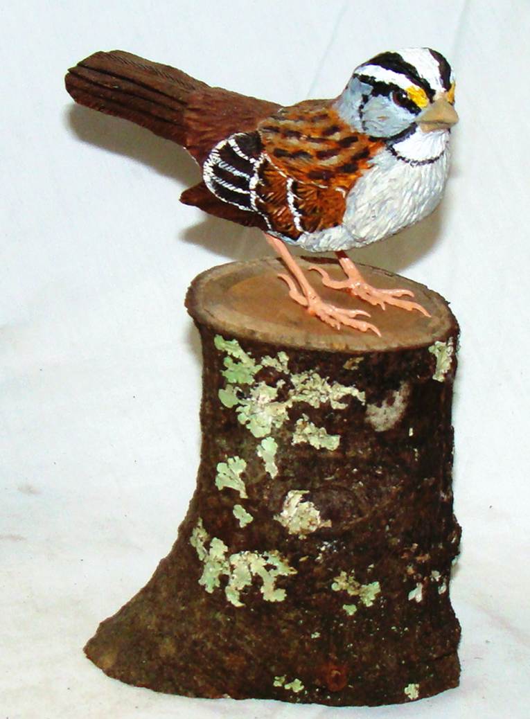 A bird on a stump

AI-generated content may be incorrect.