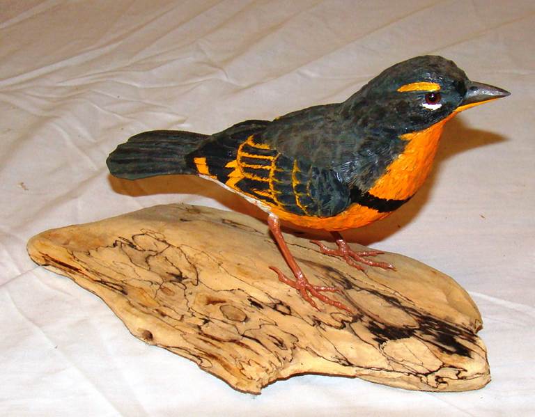 A bird on a piece of wood

AI-generated content may be incorrect.