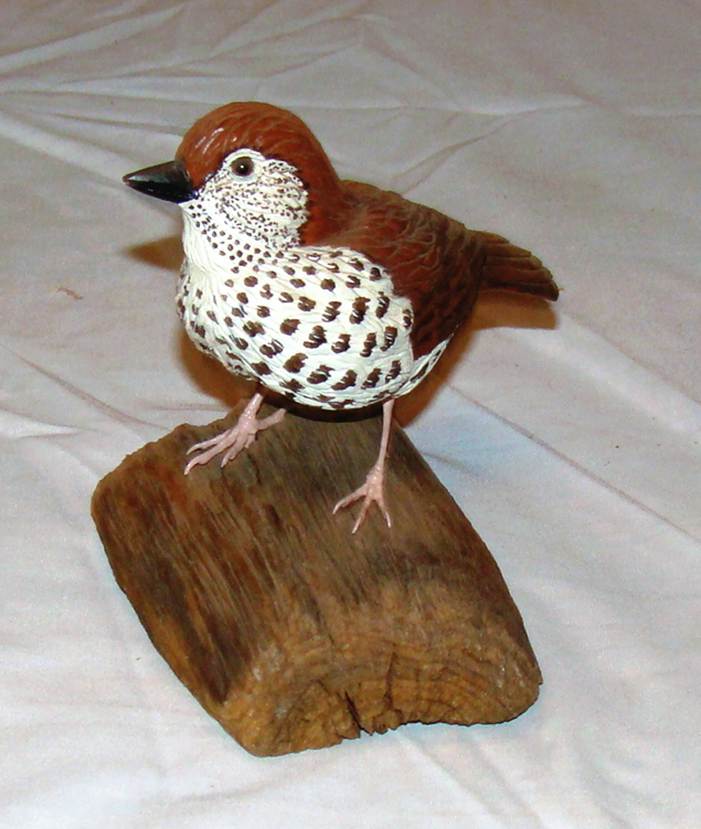 A bird on a piece of wood

AI-generated content may be incorrect.