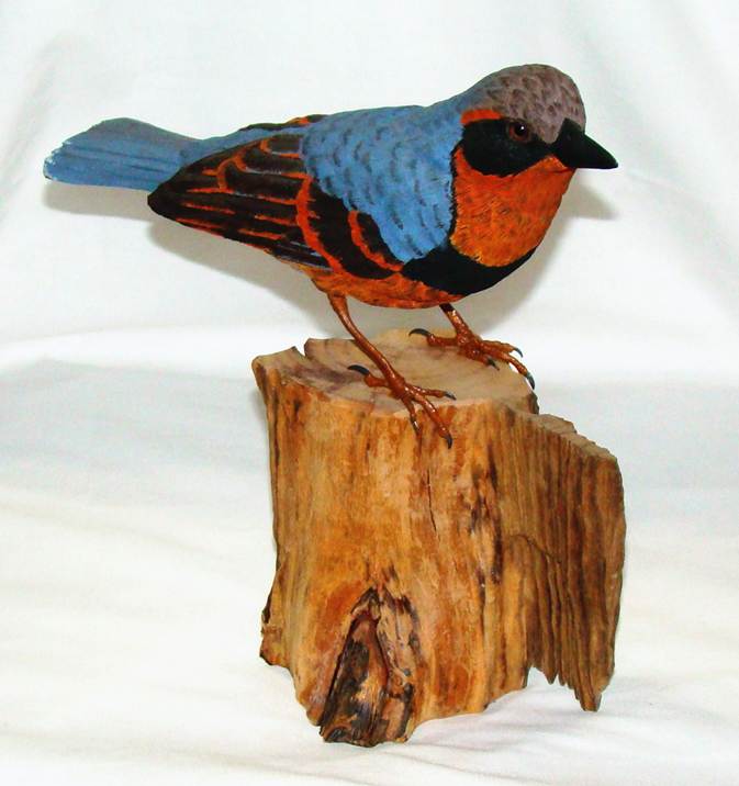 A bird on a piece of wood

AI-generated content may be incorrect.