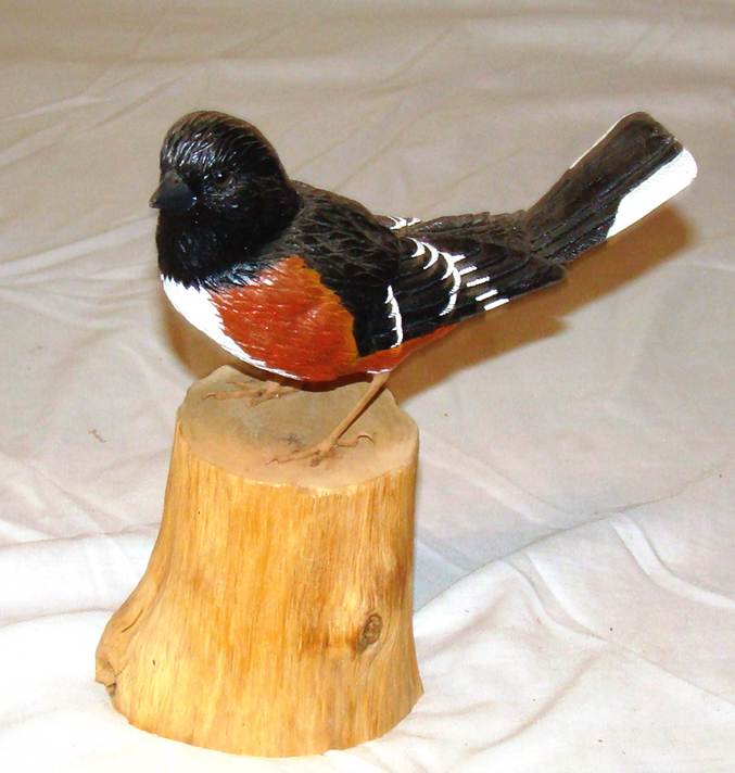 A bird on a piece of wood

AI-generated content may be incorrect.
