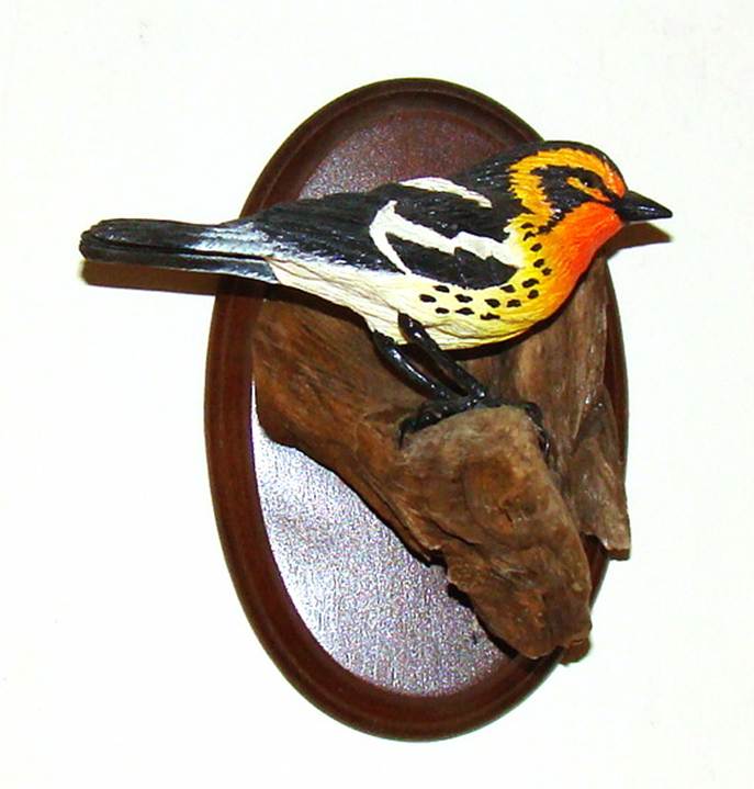 A bird on a piece of wood

AI-generated content may be incorrect.